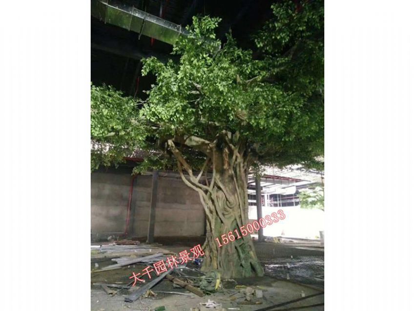 點(diǎn)擊查看詳細(xì)信息<br>標(biāo)題：假樹(shù) 閱讀次數(shù)：2380