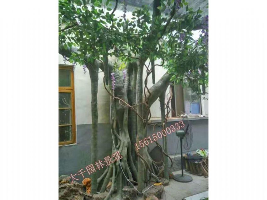 點(diǎn)擊查看詳細(xì)信息<br>標(biāo)題：假樹(shù) 閱讀次數(shù)：2426